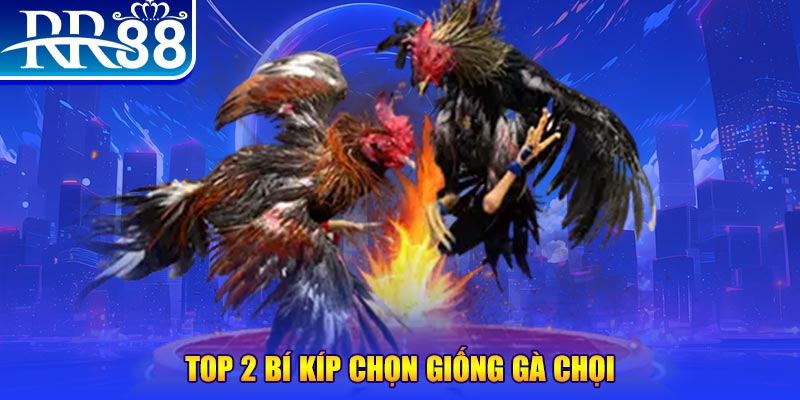 s 666 máy thu cước bắn cá