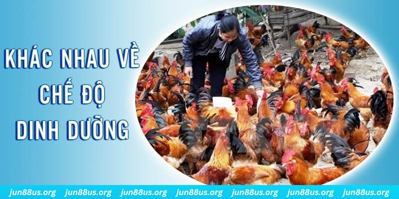 s 666 xổ số miền nam thứ năm hàng tuần