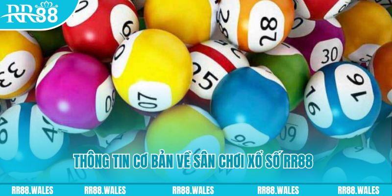 s 666 đá gà hôm nay