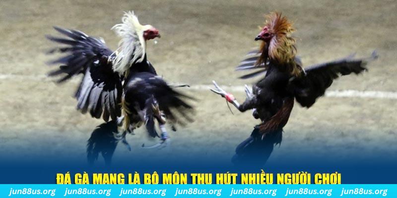 s 666 đăng nhập lô đề hàng đầu
