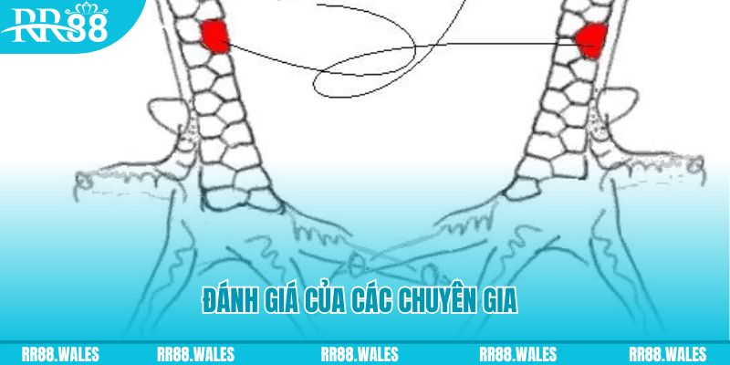 s 666 V8 Game Bài 3d