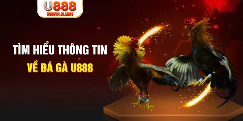 s 666 đăng nhập tiến lên miền nam hàng đầu