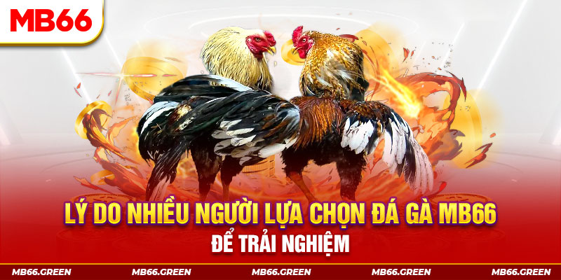 s 666 KA Điện Tử