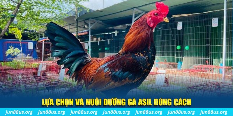 s 666 xổ số đài bắc