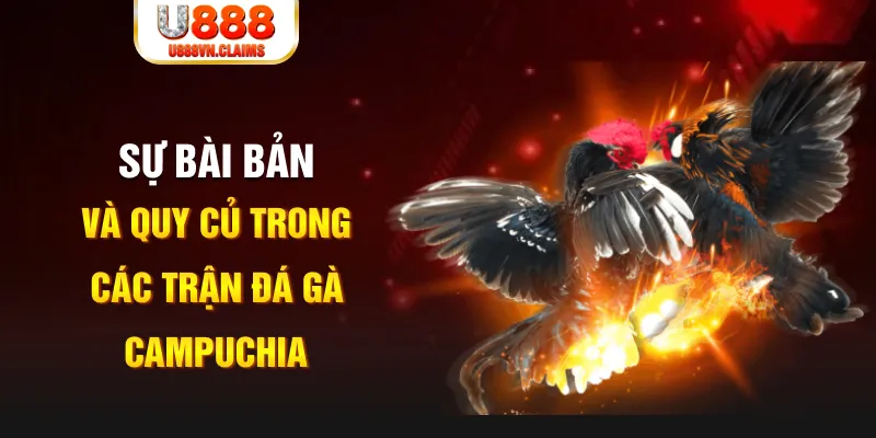 s 666 PG Điện Tử