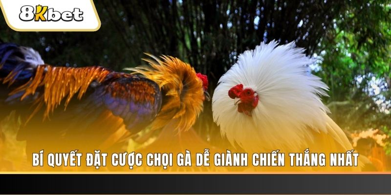 s 666 xổ số thứ hai hàng tuần