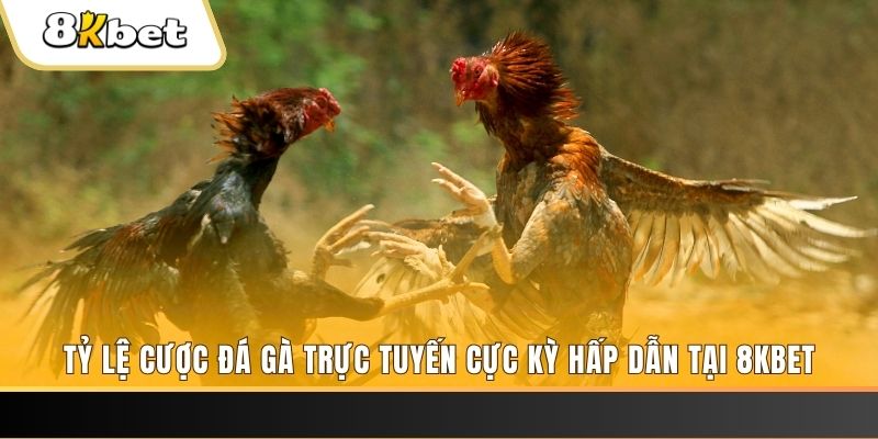 baccarat online bịp như thế nào