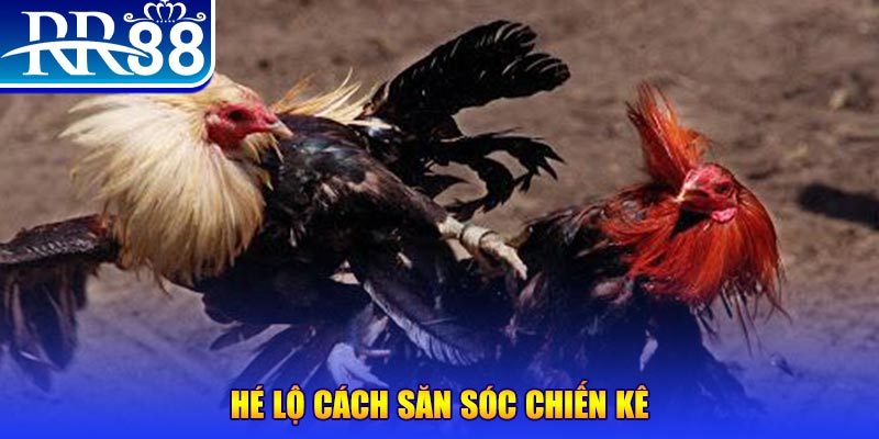s 666 đăng nhập phỏm đổi thưởng