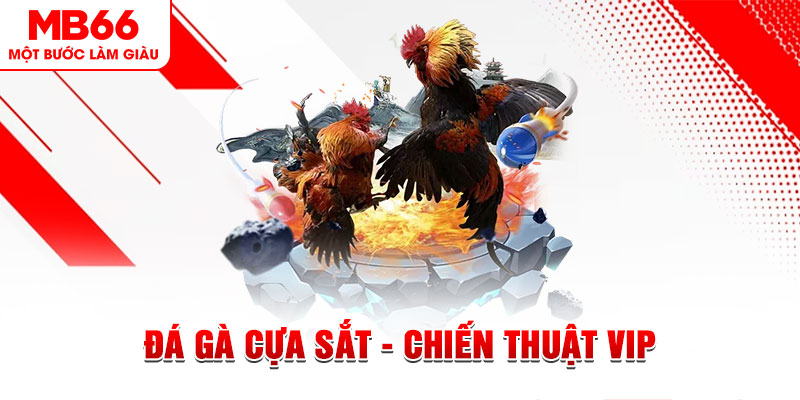 s 666 xổ số trực tiếp hôm nay