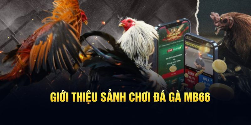 s 666 đăng nhập poker hôm nay